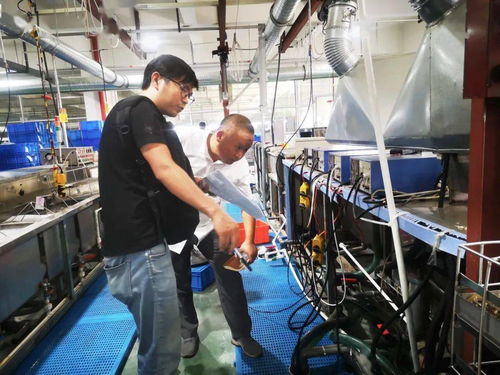 規(guī)范廠中廠服務小微園，樂清翁垟街道繃緊企業(yè)生產安全弦