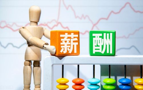 薪稅師價值幾何？信息技術咨詢服務視角下的職業(yè)新解